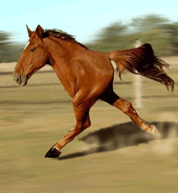 cid_016b01c6215f92cf59b0ba04140aser.gif