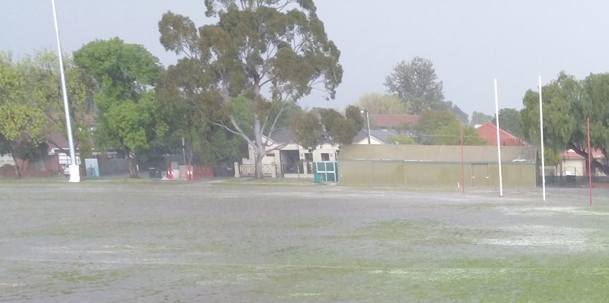 Payneham Oval.jpg