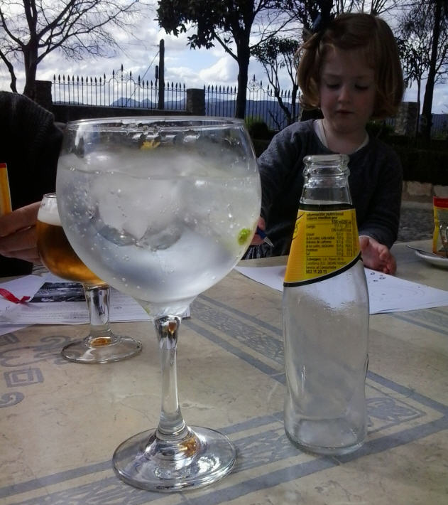 G&T 3 Euros.jpg