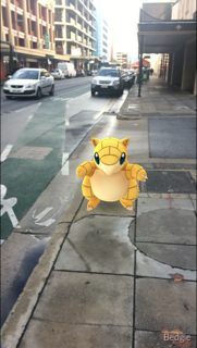 sandshrew.png