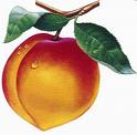 peach.jpg