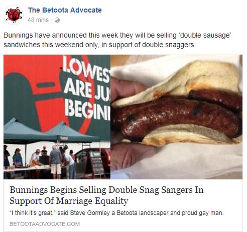 Bunnigns.JPG