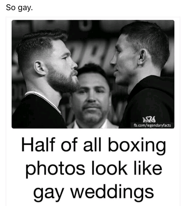 Gay Wedding or Boxing Promo.png