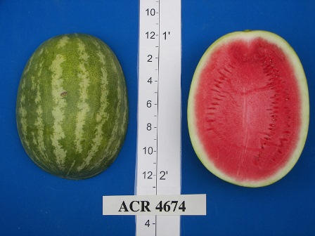 ACR4674.jpg