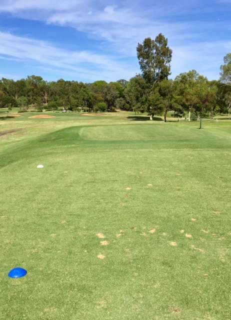 toc golf 2.JPG