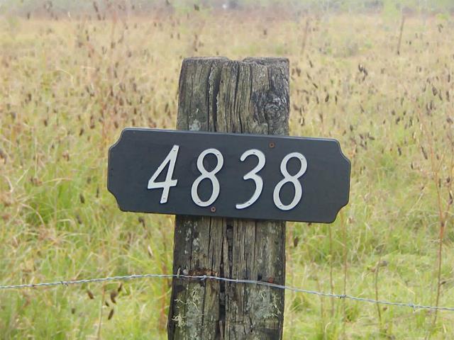 picture-uh=5b71cbb479f305de07afe1e18eae61b-ps=c14967bb78f0255ce11c166b4bd8f7.jpg