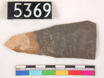 uc5369.jpg
