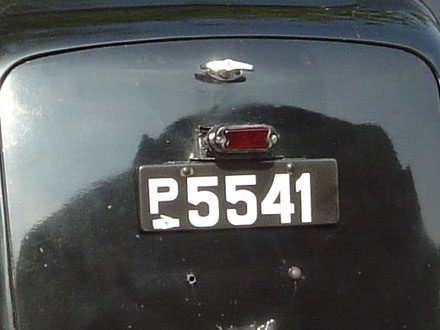 dk_p5541.jpg