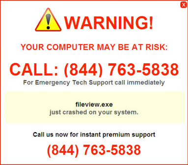 stf-warning-fileview-exe-crashed-844-763-5838-tech-support-scam.png