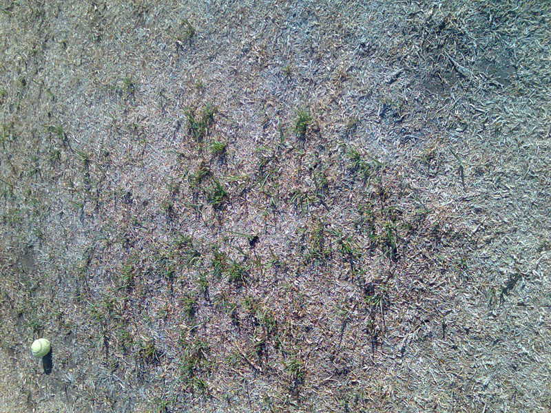 Image000.jpg