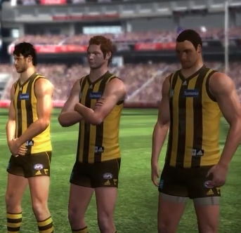 AFL Live grand final stance.PNG