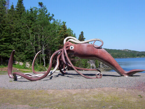 squid1.jpg