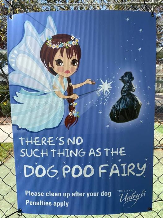 dog poo.jpg