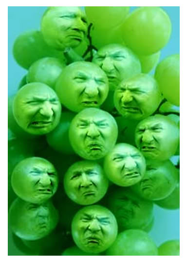 Sour-Grapes-Central.jpg