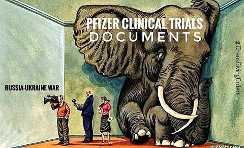 Pfizer-clinical-trial-1.jpg