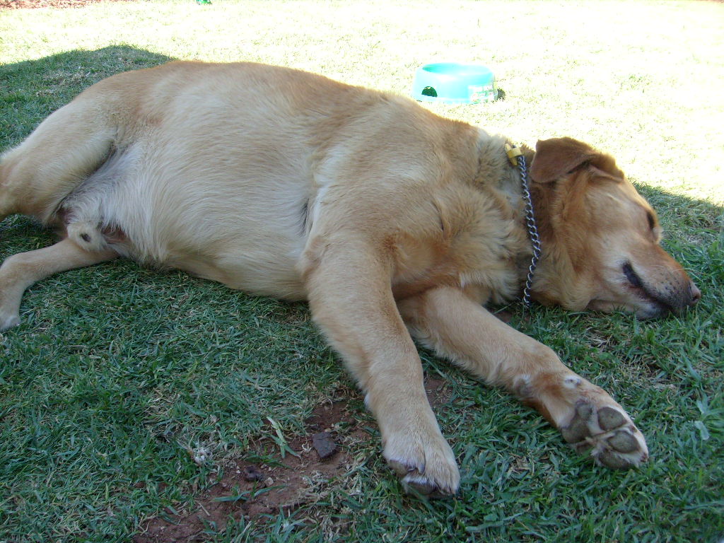 S7300050.JPG