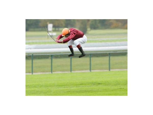 missinghorse_600x450.jpg