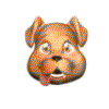 image1.gif