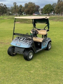 Buggy.jpg