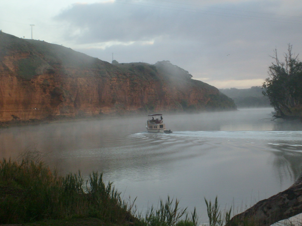 Cruising Teal Flat.JPG