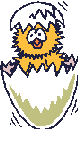 Chick_hatches_4.gif