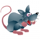 rat_002.jpg