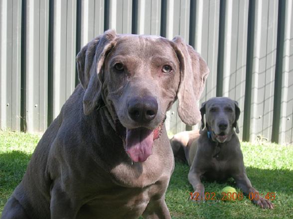 Copy of January 06 067.jpg