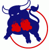 Bulls.gif