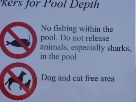 Pool at Kingscote.jpg