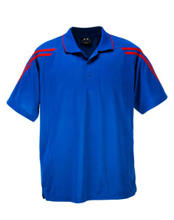 HV polo.jpg