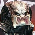 predator.jpg