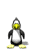 penguins-6.gif