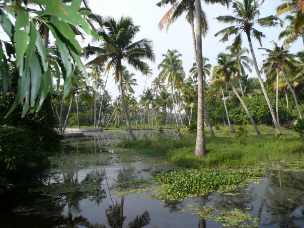 kerala.jpg