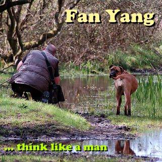 fanyang.jpg