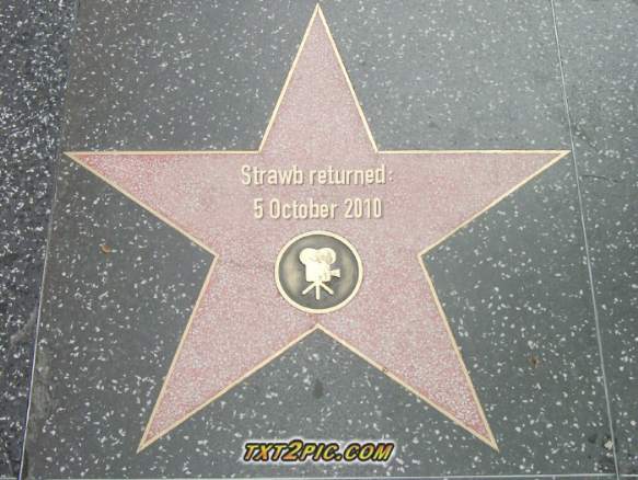 strawb returns.jpg