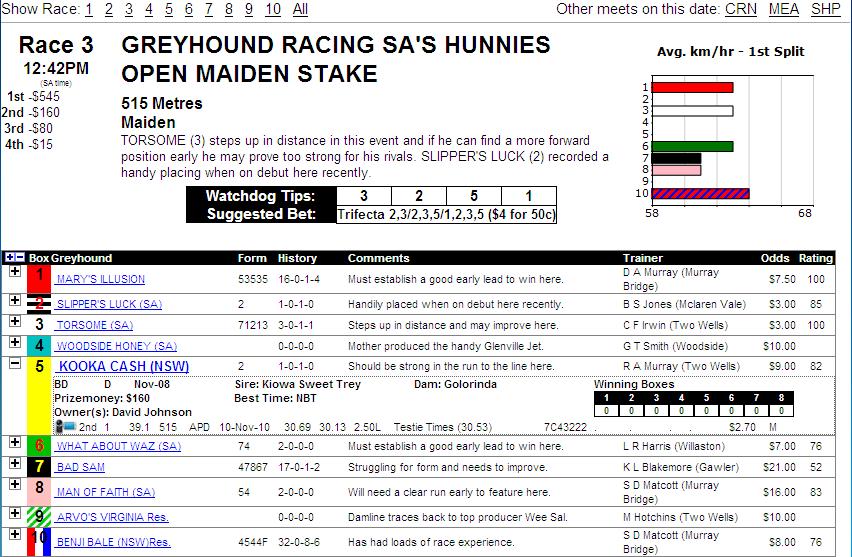 Race2.JPG