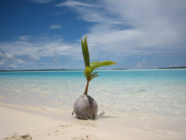 cislands.jpg