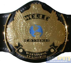 belt_wc_winged_front.jpg