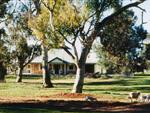 Blue-Gum-House-Orroroo-accommodation.jpg