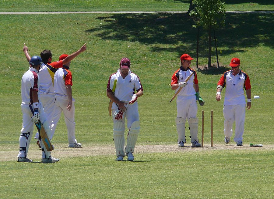 Harry breaks a stump.jpg