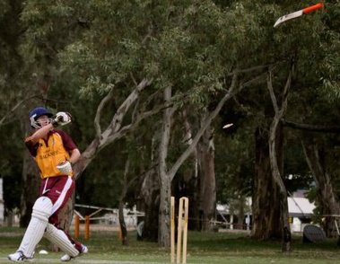 cricket.jpg