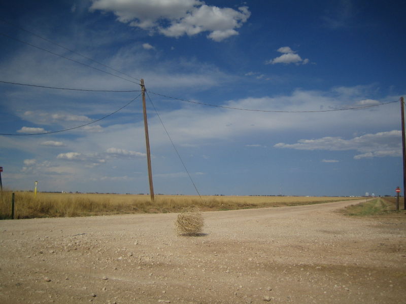 tumbleweed_0042.jpg