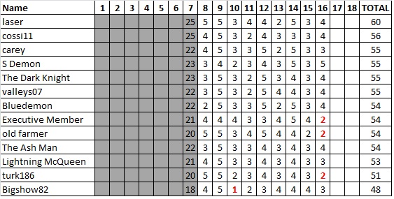 DIV 4 Tipping Ladder.jpg