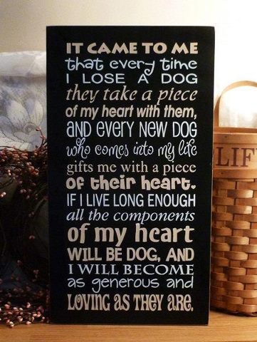 Dog verse.jpg