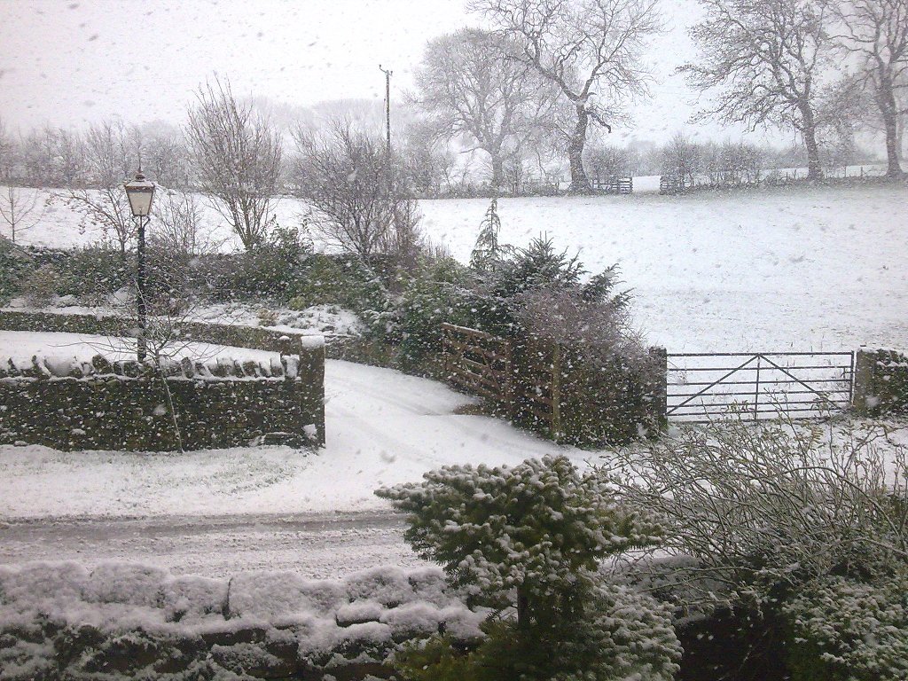 Image005.jpg
