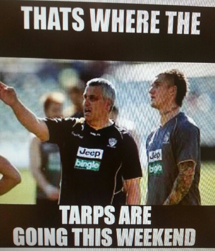 Tarps.jpeg