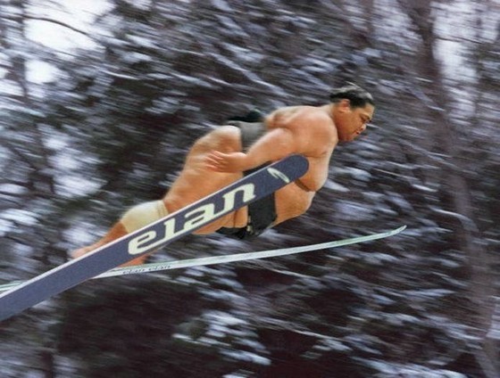 sumo.jpg