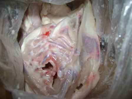 mmm_carcass.jpg