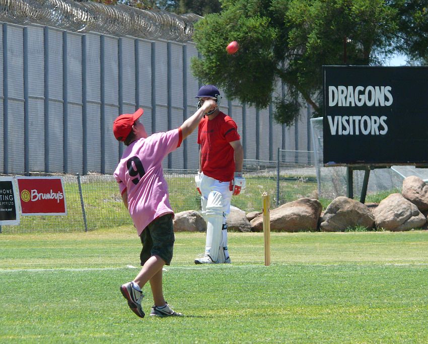 Baldo Jnr in the field.jpg